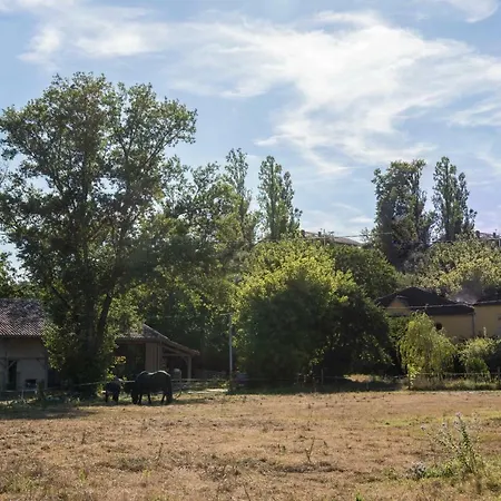 B&B Cavenac Chambres D'hotes *